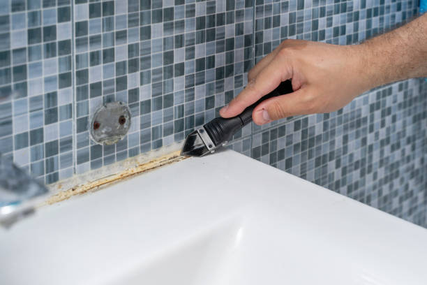 Best Local Mold Removal Service  in Watkins Glen, NY